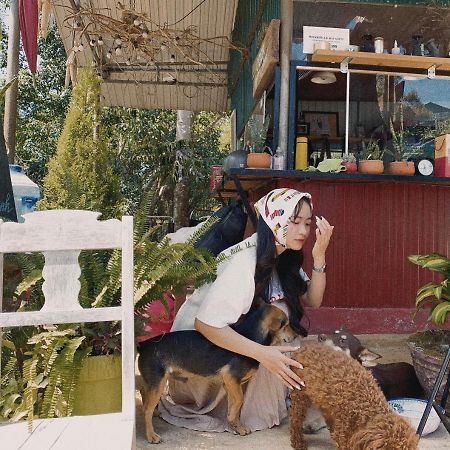 Homestay Bien RungGia Nghĩa エクステリア 写真