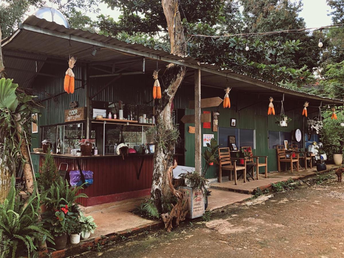 Homestay Bien RungGia Nghĩa エクステリア 写真
