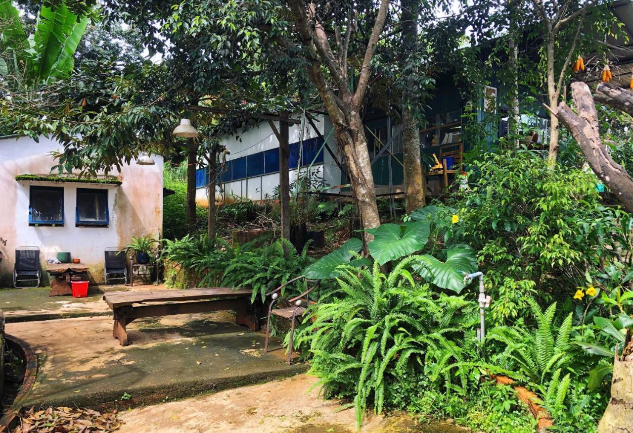 Homestay Bien RungGia Nghĩa エクステリア 写真