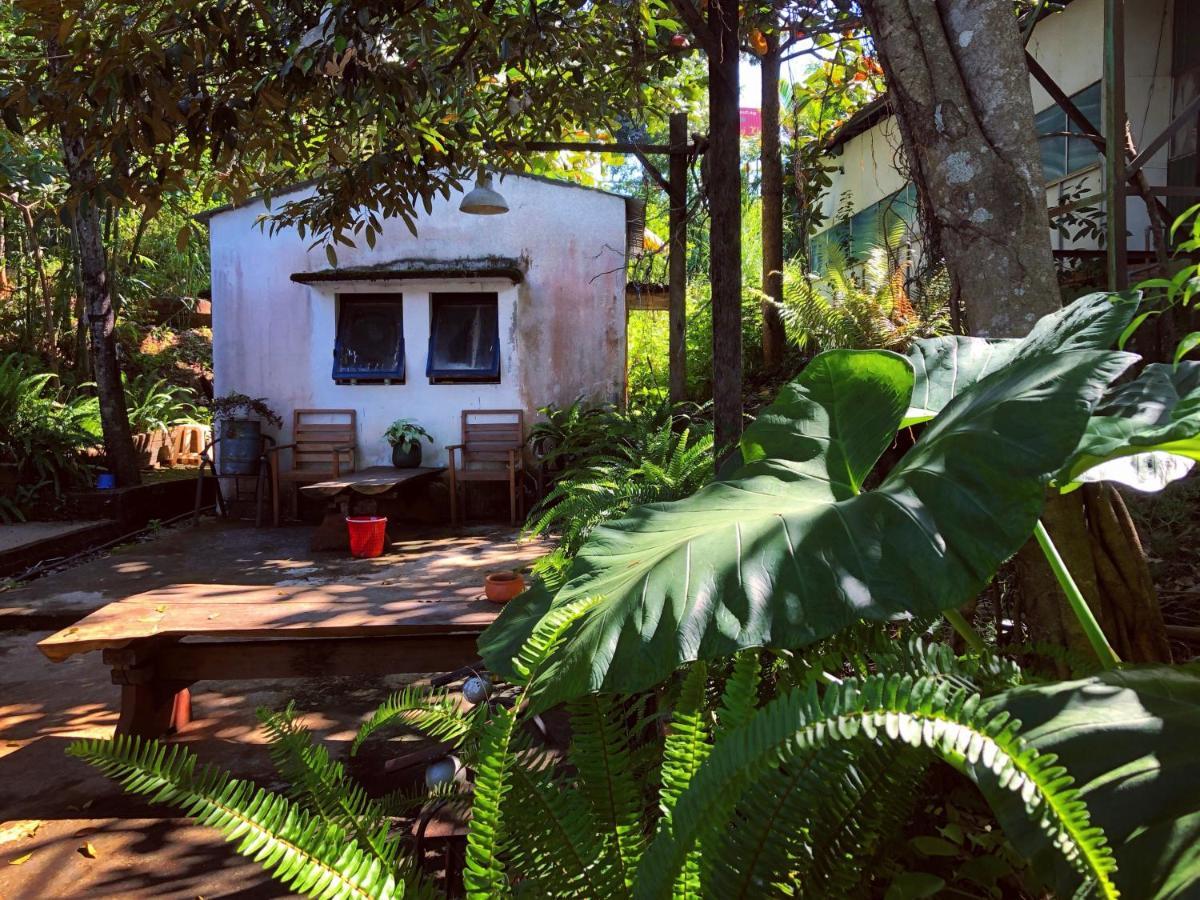 Homestay Bien RungGia Nghĩa エクステリア 写真